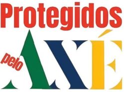 candomble-umbanda-oxala-iemanja-oxum-ogum-xango-iansa-oxossi-obaluaie-exu-pombagira-pemba-assentamento-terreiro-ere-preto-velho-sarava-quimbanda-macumba-oya-malandro-protegidos-pelo-axe-afro-brasileiro